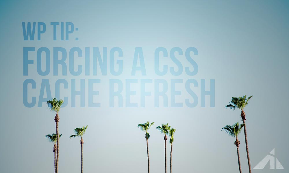 WP tip – Forcing a CSS stylesheet refresh