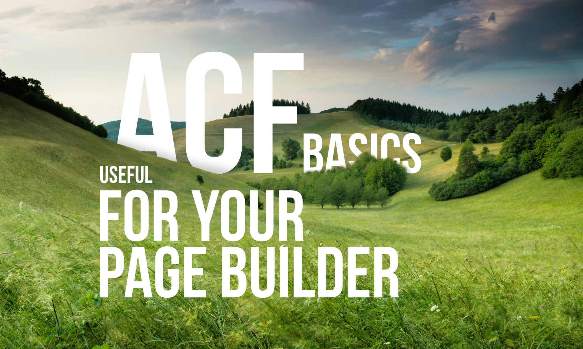 Useful ACF basics with your page builder